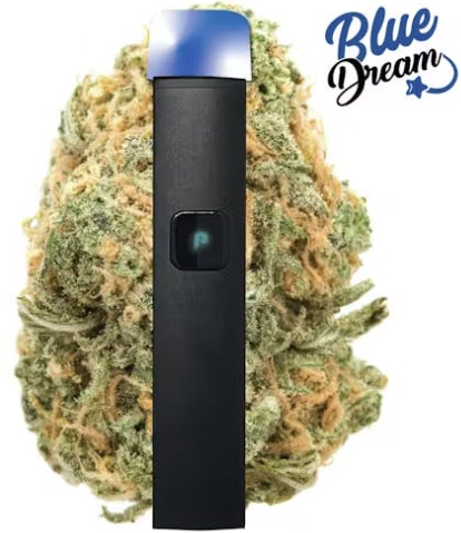 Photograph of product: Blue Dream [S] - DNA Ready To Use