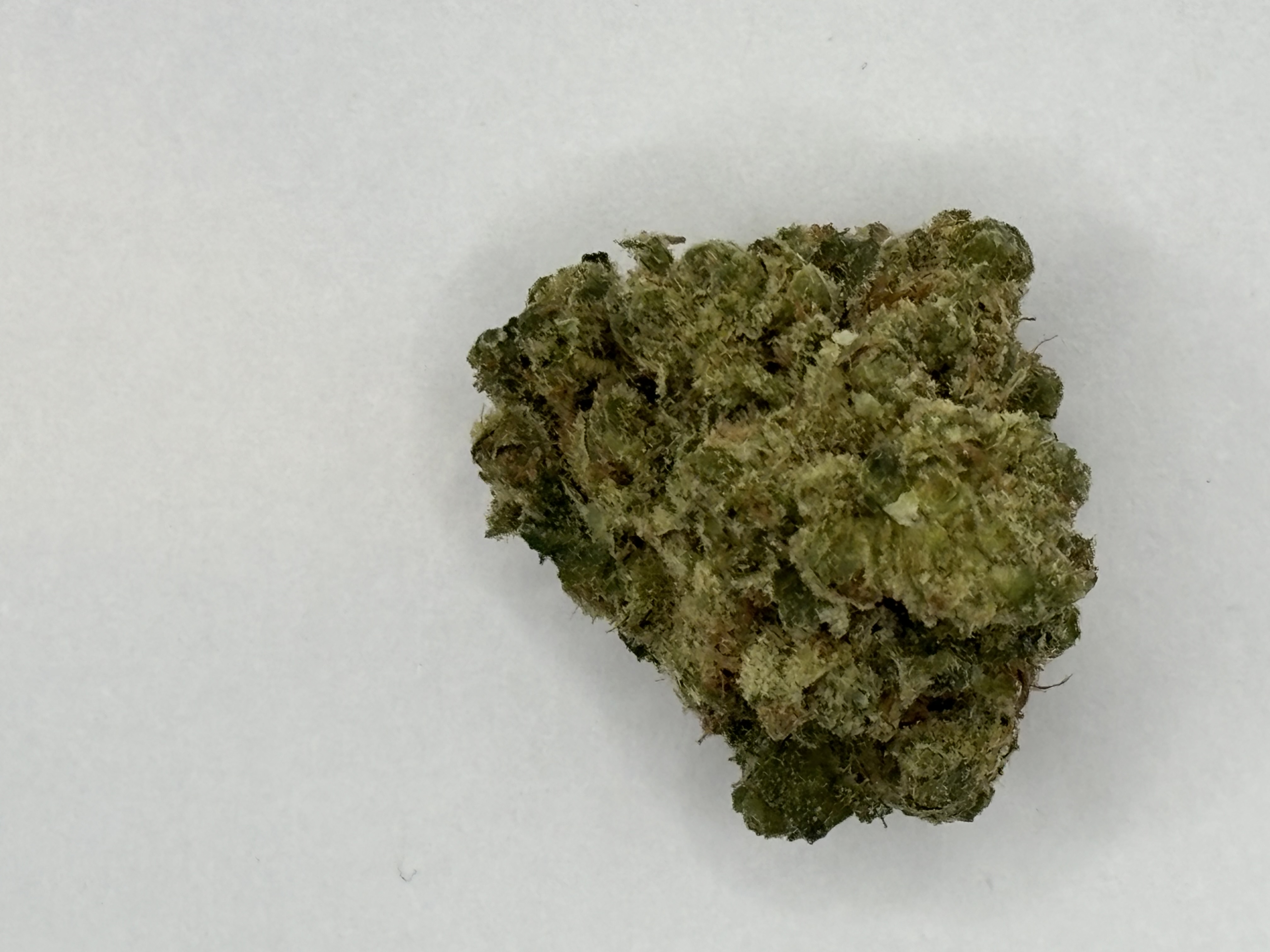 Photograph of product: Megalodon - 3.5g