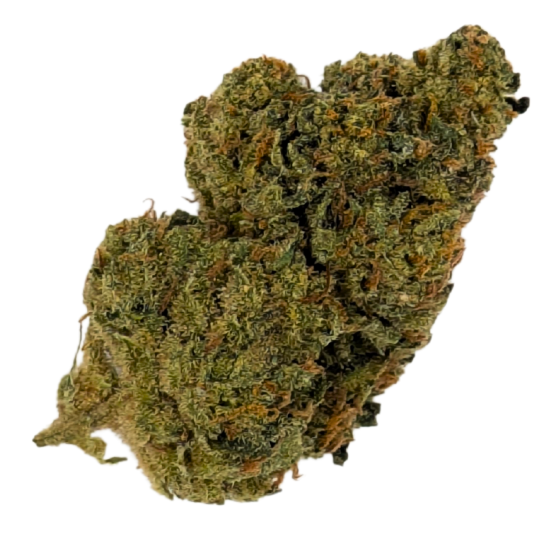 Photograph of product: Georgia Pie | 1/8 Indoor Flower | - 3.5g
