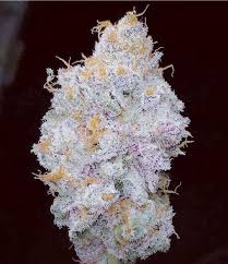 Photograph of product: Heart Breakerz | Pro Gro | Bulk Flower