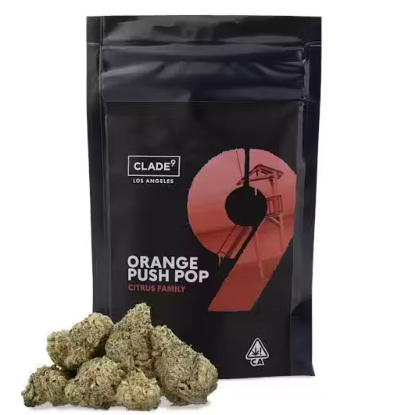 Photograph of product: Orange Push Pop | Smalls | 7g