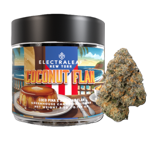 Photograph of product: Coconut Flan (H) [M31] - 3.5g