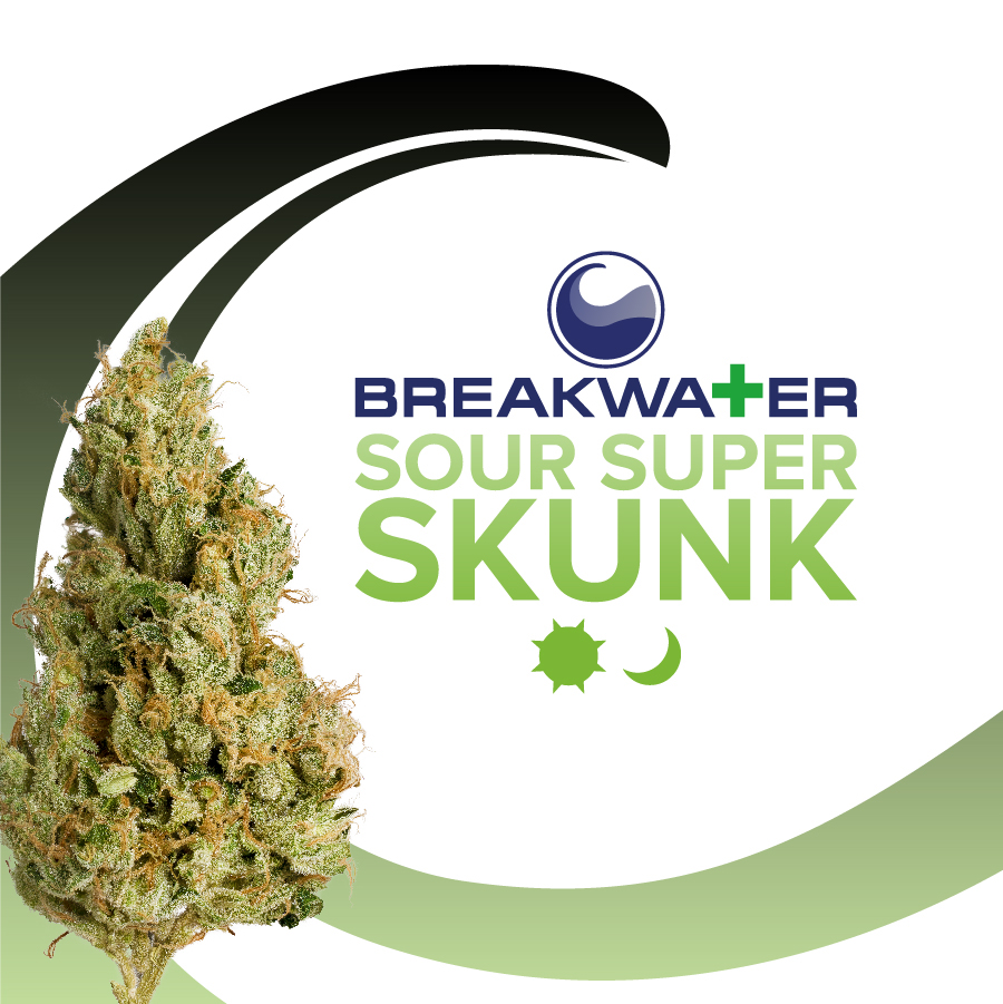 Photograph of product: Sour Super Skunk Premium Flower - 7g