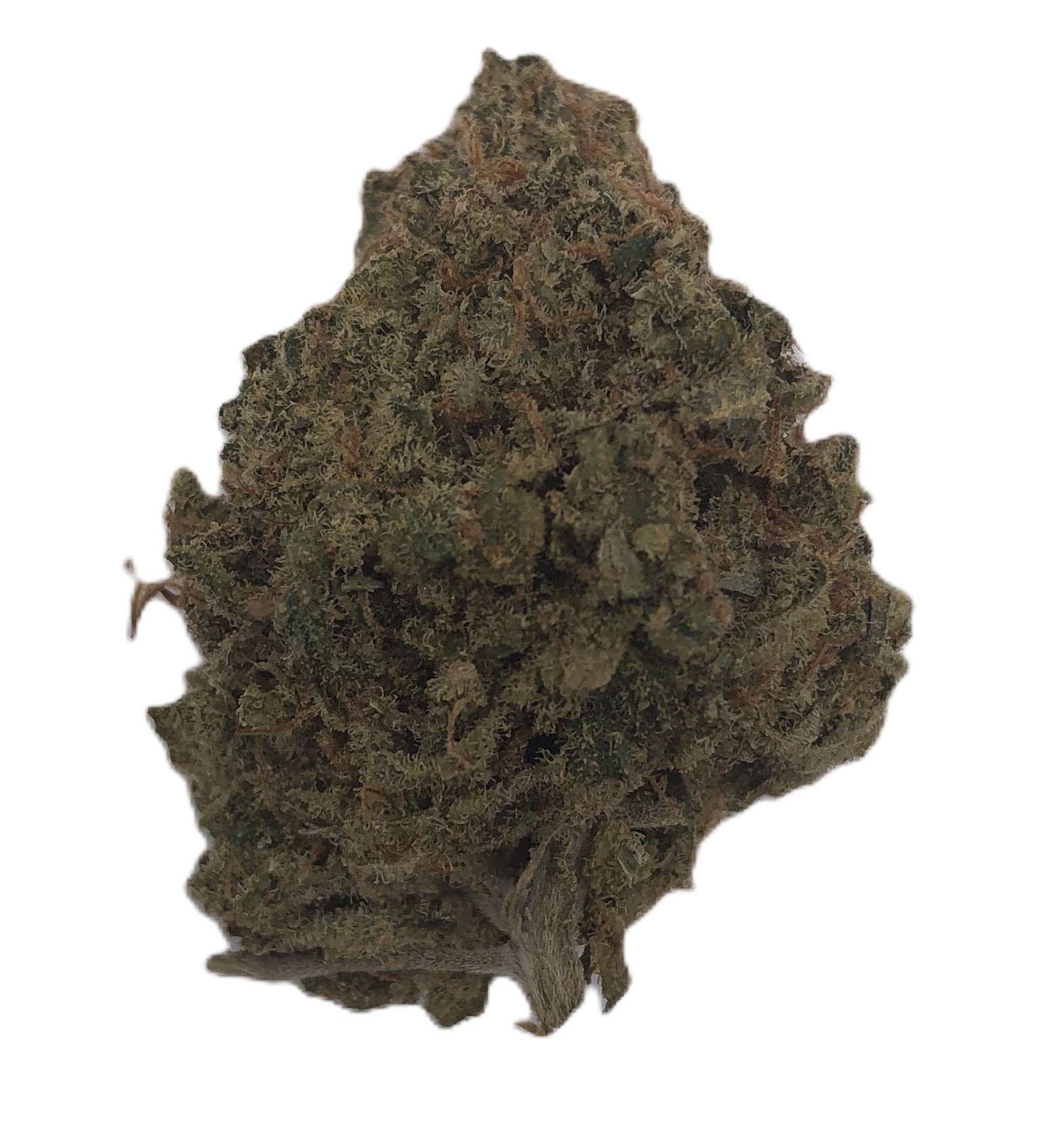 Photograph of product: Hecate Gardens Cascadian Cough - 28g