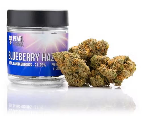 Photograph of product: PEARL PHARMA BLUEBERRY HAZE FLOWER HYBRID 3.5G