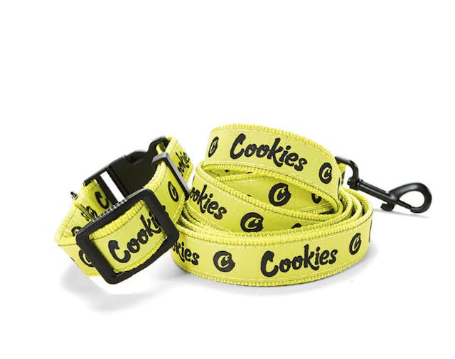 Photograph of product: Dog Leash and Collar - Nylon Yellow - 