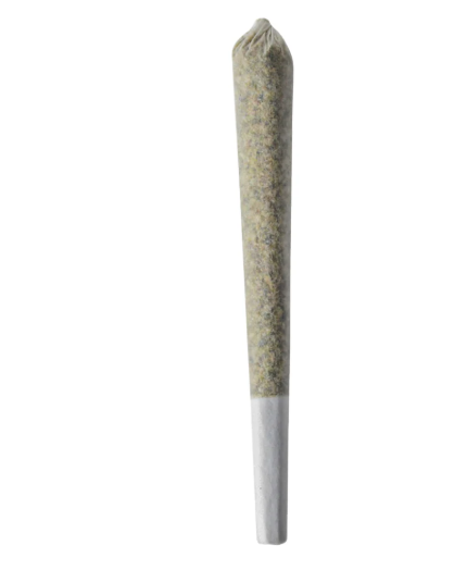 Photograph of product: (84922) Trojan Folley Preroll