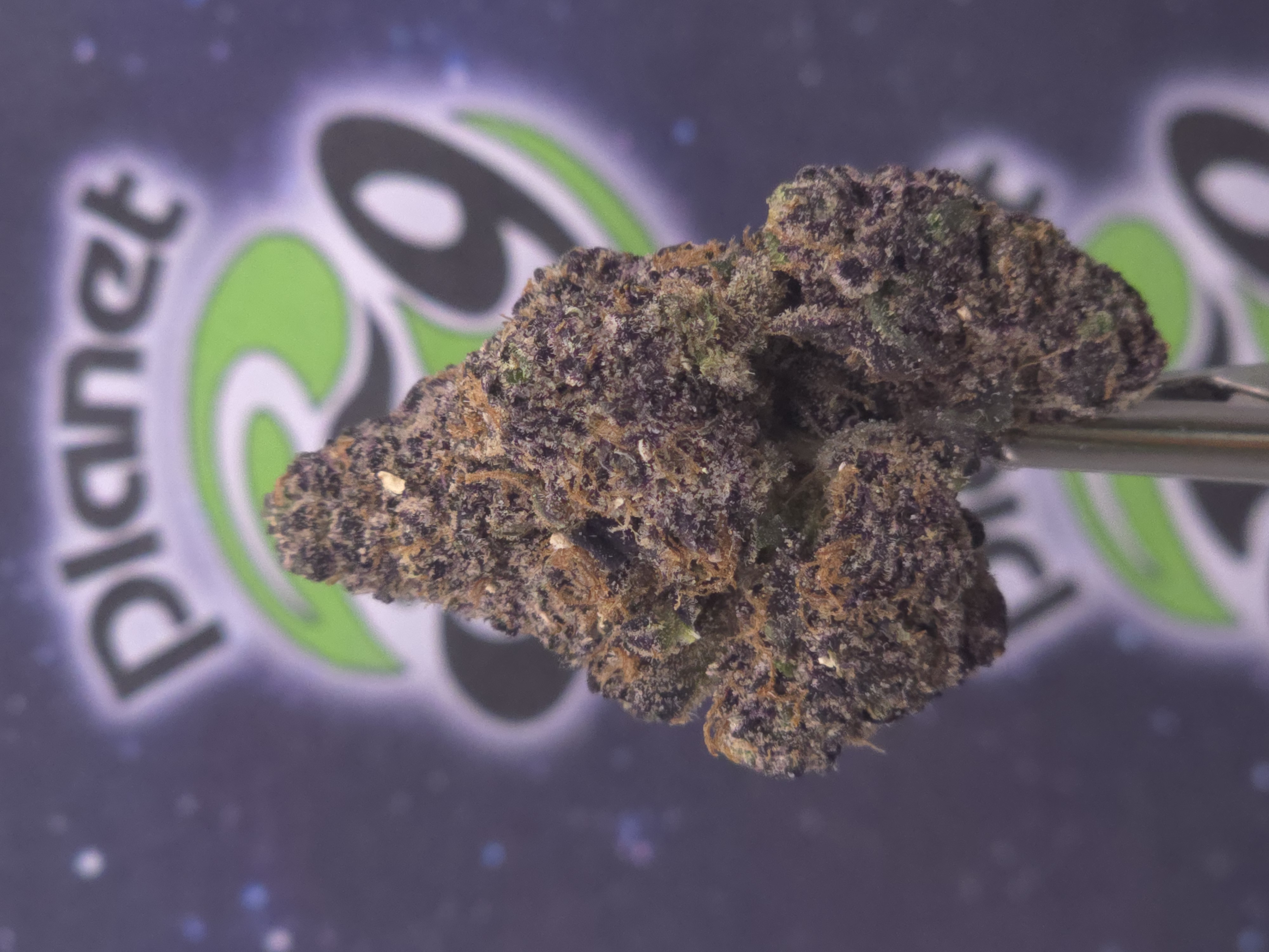 Photograph of product: Freedom Green Farms | Black Cherry Ghost Prepacked - 3.5g