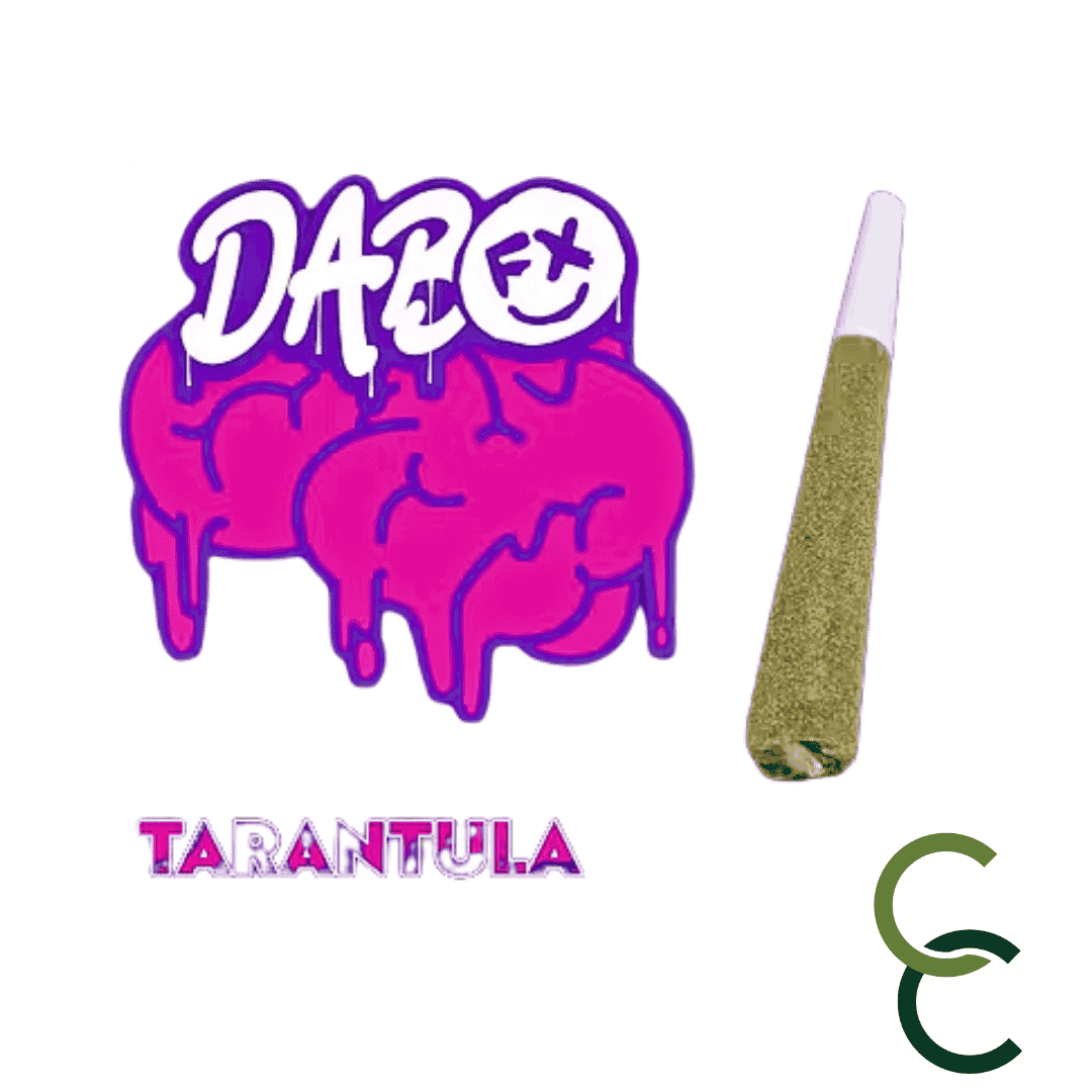 Photograph of product: Mango Rush Tarantula  - Infused Pre-Roll - 1g