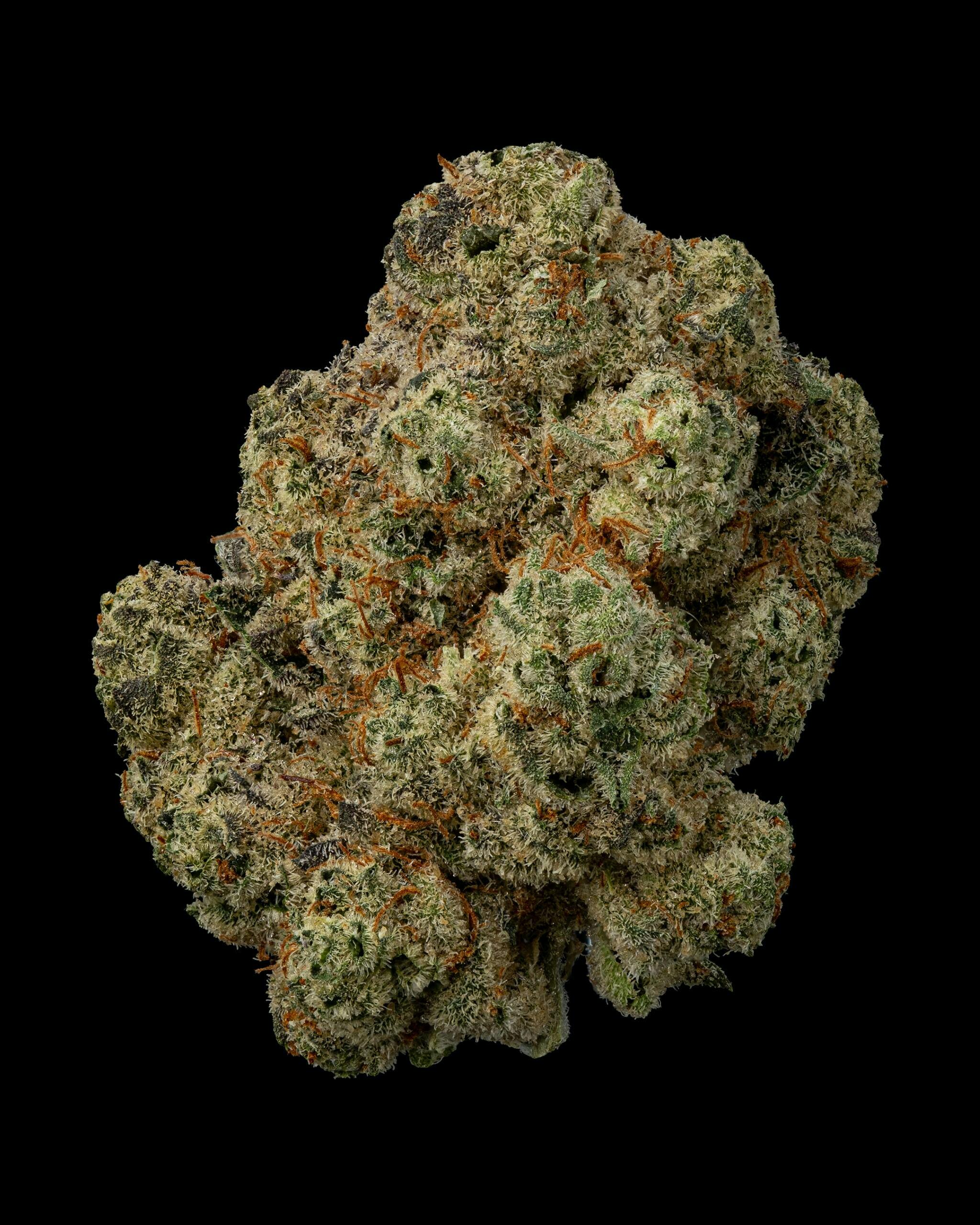 Photograph of product: Gorilla Mintz | Flower - 