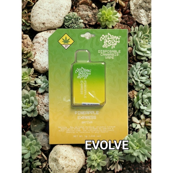 Photograph of product: 1g Pineapple Express Disposable - Microbar