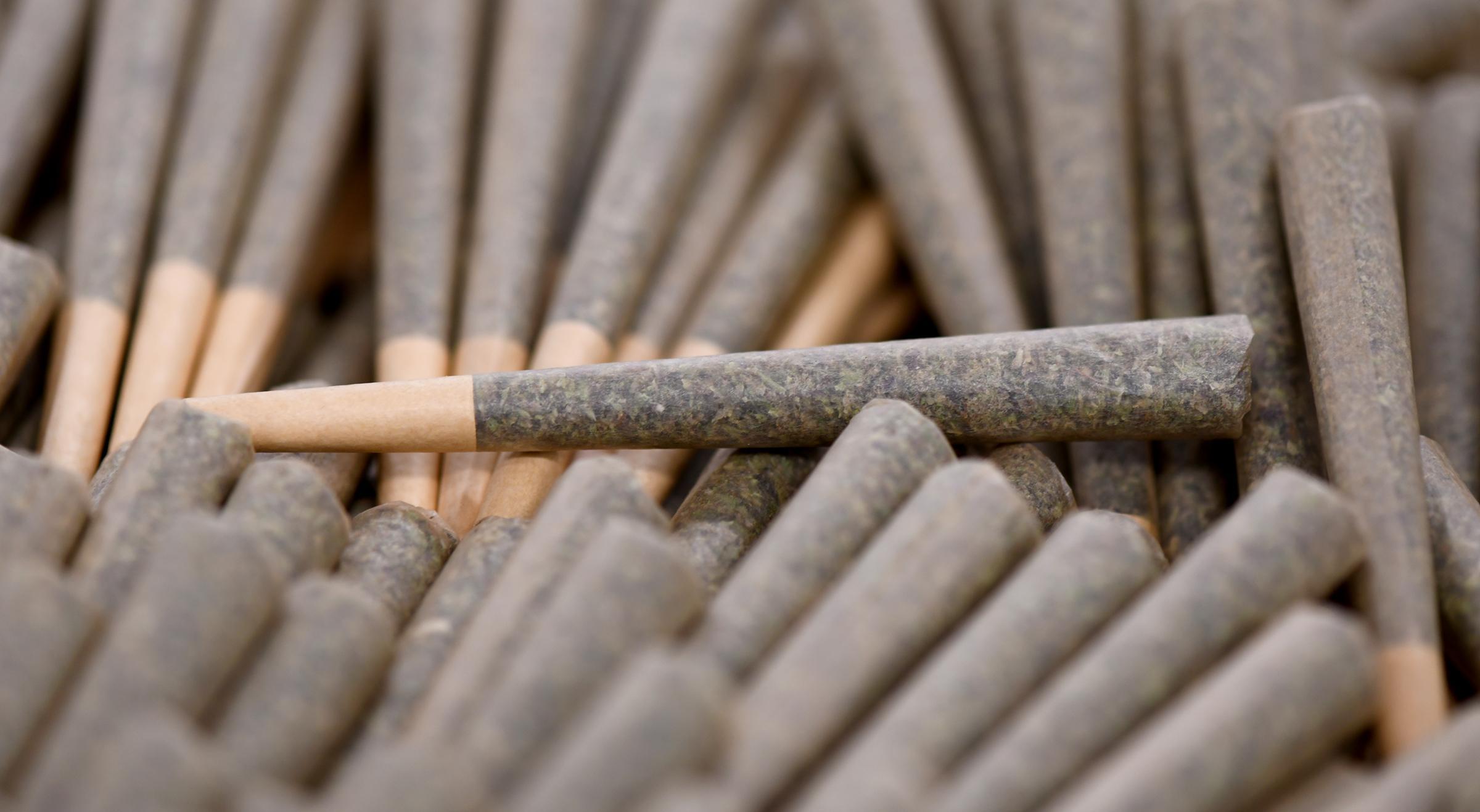 Photograph of product: Palm Beach Sour 1g Pre-Roll - 50/50 Hybrid - Flora Farms