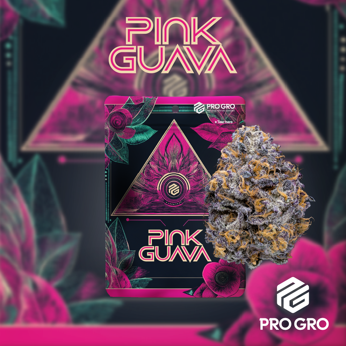 Photograph of product: PRO GRO | PINK GUAVA | HYBRID | PRE-PACKED | 3.5G | REC