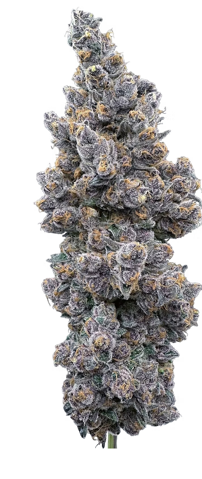 Photograph of product: Super Boof 3.5g Flower Trifecta Farms