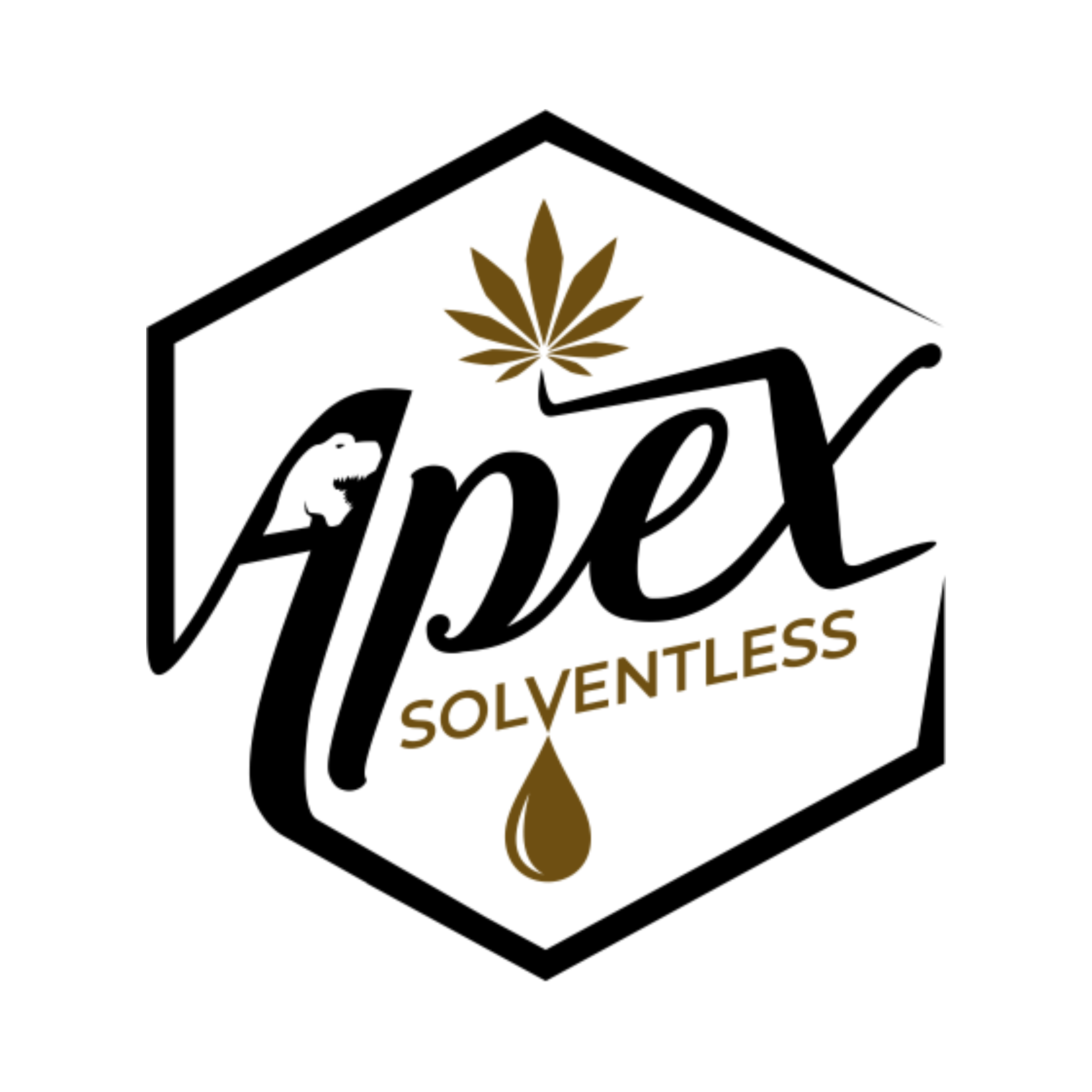 Photograph of product: APEX | Concentrate | Live Rosin | Wedding Pie | 1g