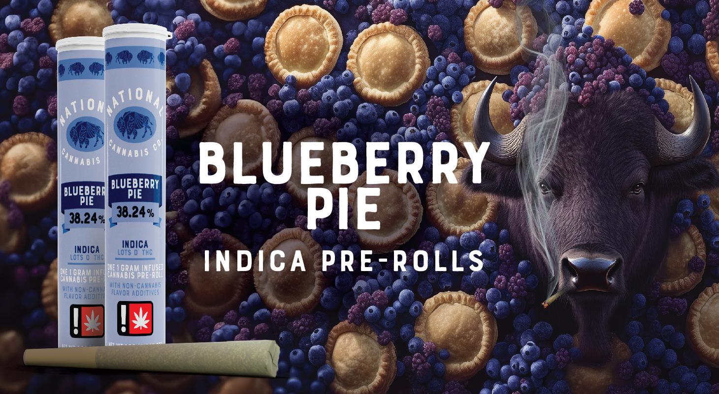Photograph of product: National Oui'd Co. - Blueberry Pie - Infused PR