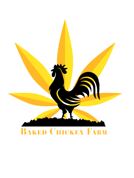 Photograph of product: Baked Chicken Premium Jar | Wonka Bars - 7g