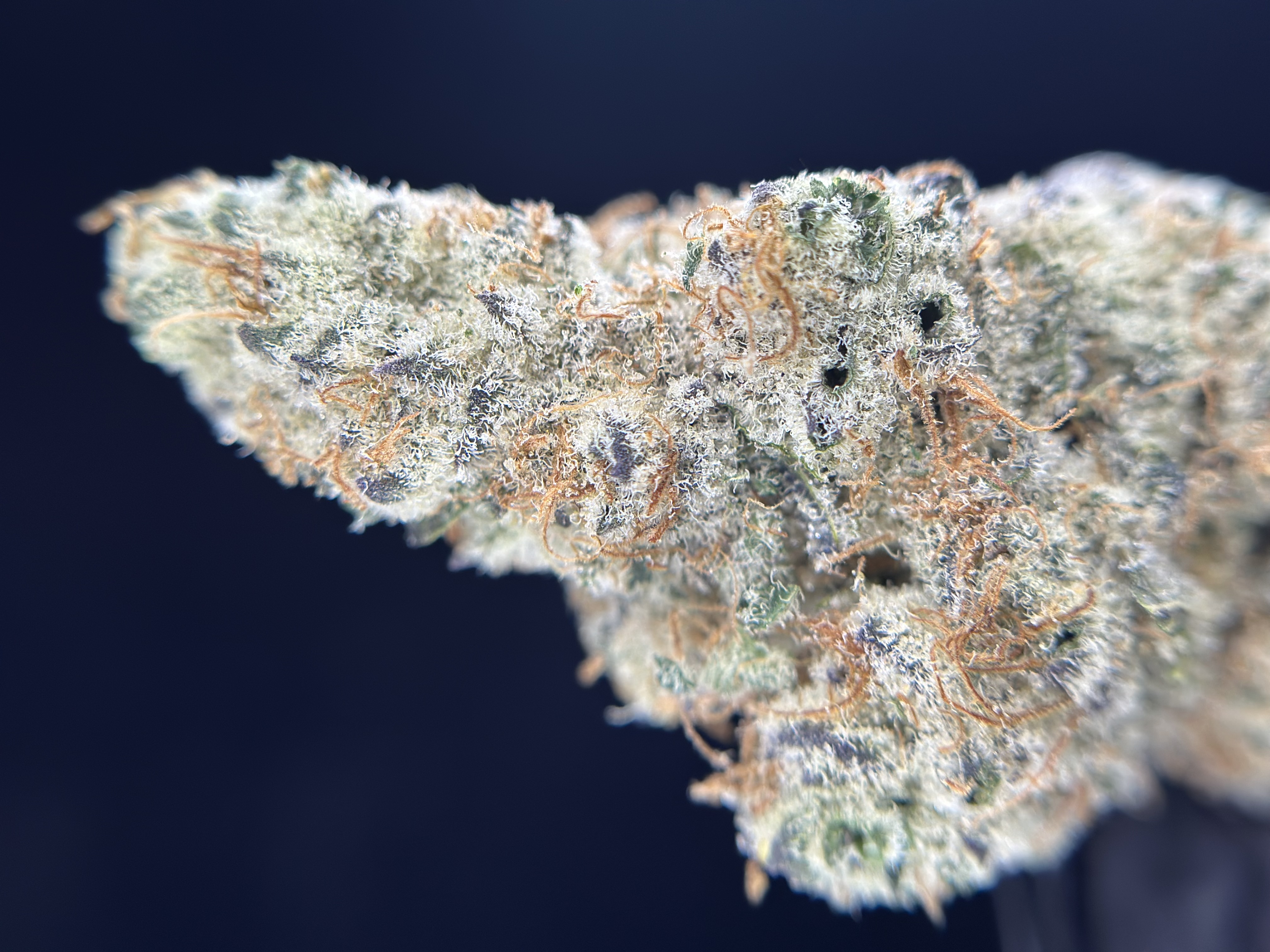 Photograph of product: Chimax ~ Smalls - 7g