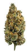 Photograph of product: Cherry Burger Small Buds  (1/2oz) - 28g