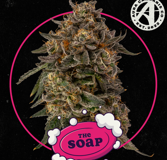 Photograph of product: The Soap | 3.5g | Aura