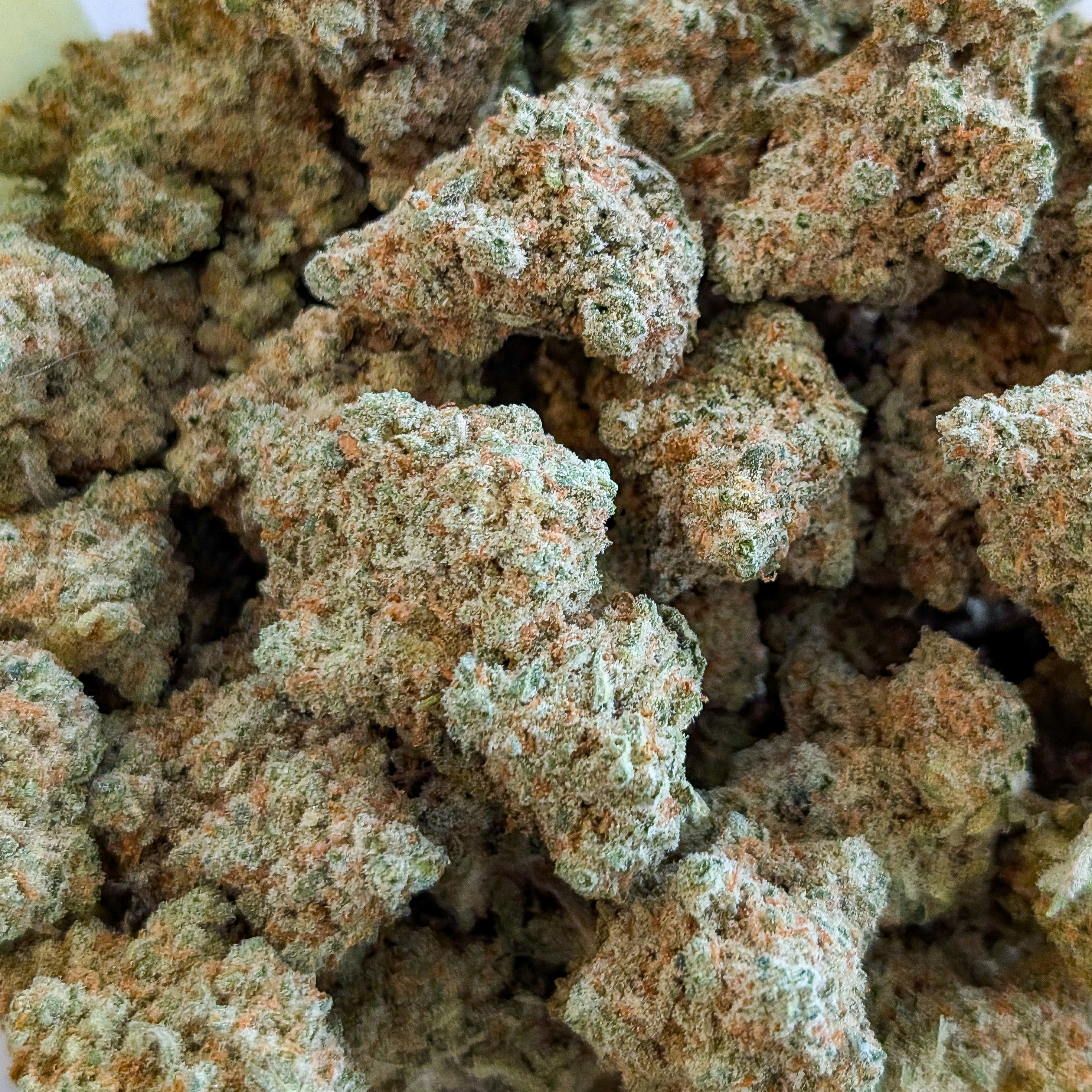 Photograph of product: Trainwreck Arcata (S) - Deli-Style - Gibby's Garden - 1g