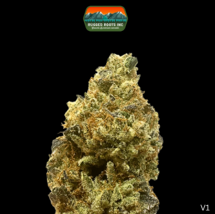 Photograph of product: RRS | Nitro Fumez Dime Bag - 1g