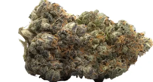 Photograph of product: ABOMINATION