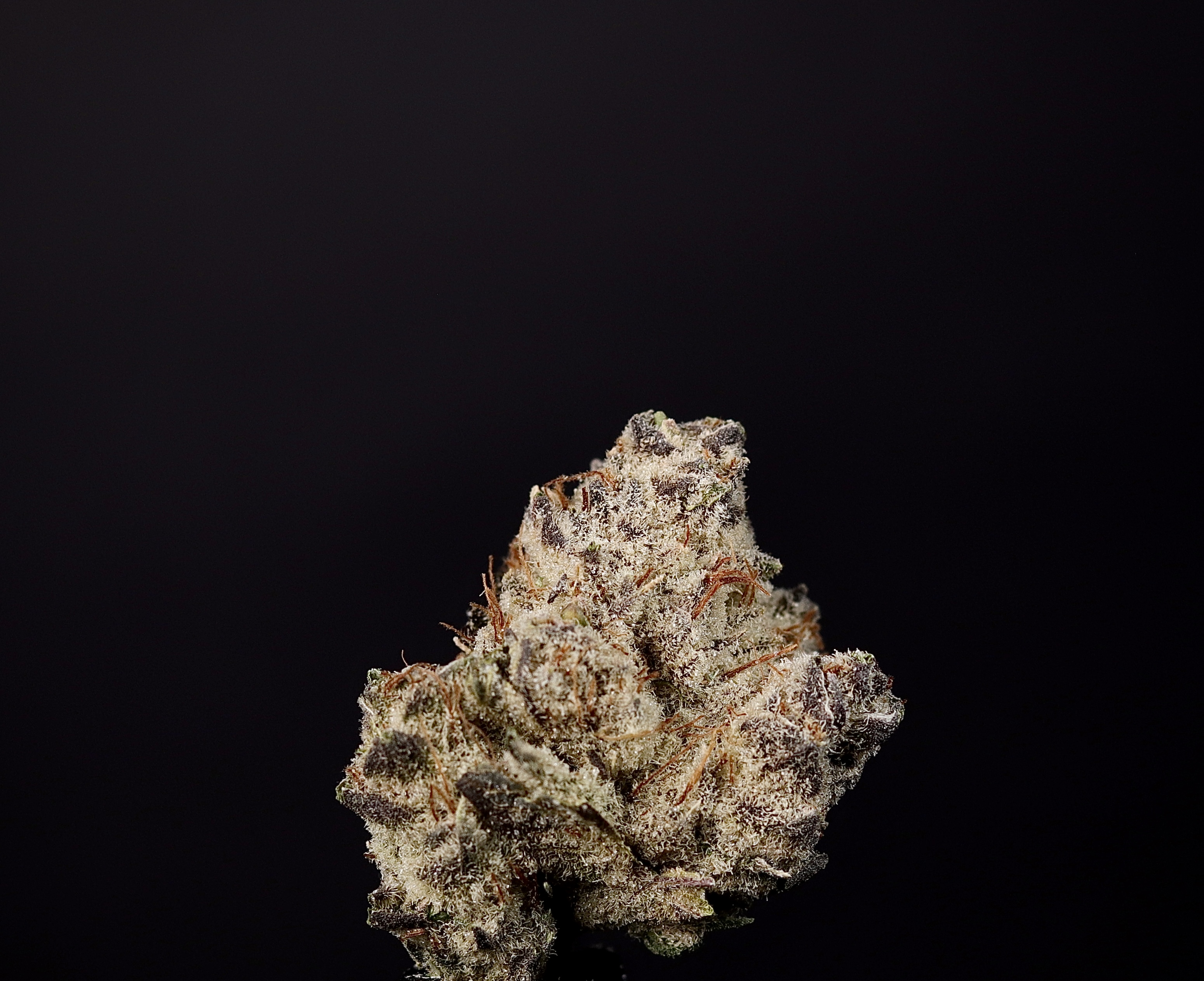 Photograph of product: Str8 Punch - Landrace Oui'd Co. - 3.5g