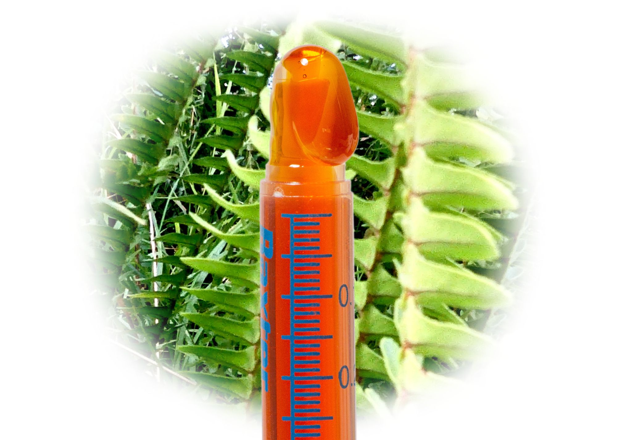 Photograph of product: Apothecary Elixir (Purified) 1g