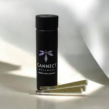 Photograph of product: Cannect Wellness Loud Mouth 1g Preroll 3pk
