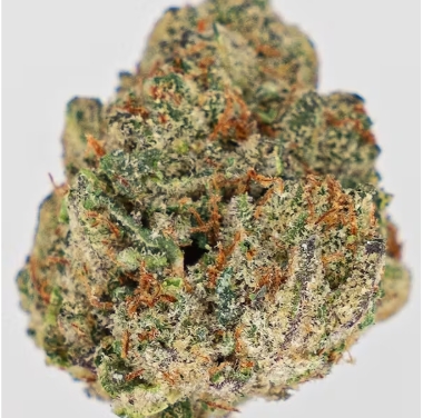 Photograph of product: 41 Gorillaz | Rose Shelf | 18.90% - 28g