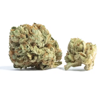 Photograph of product: HT Grease Bucket Flower - 3.5g
