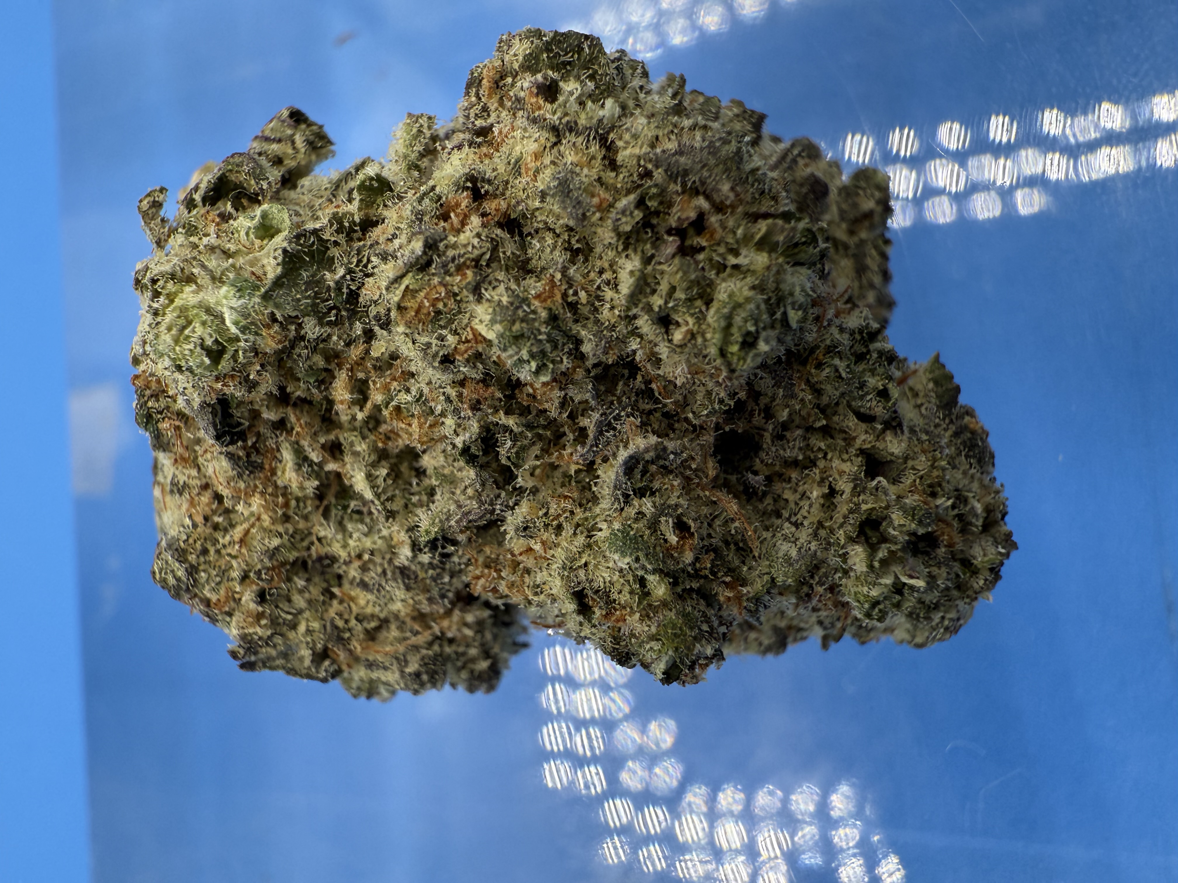 Photograph of product: Root Beer Flower - 3.5g