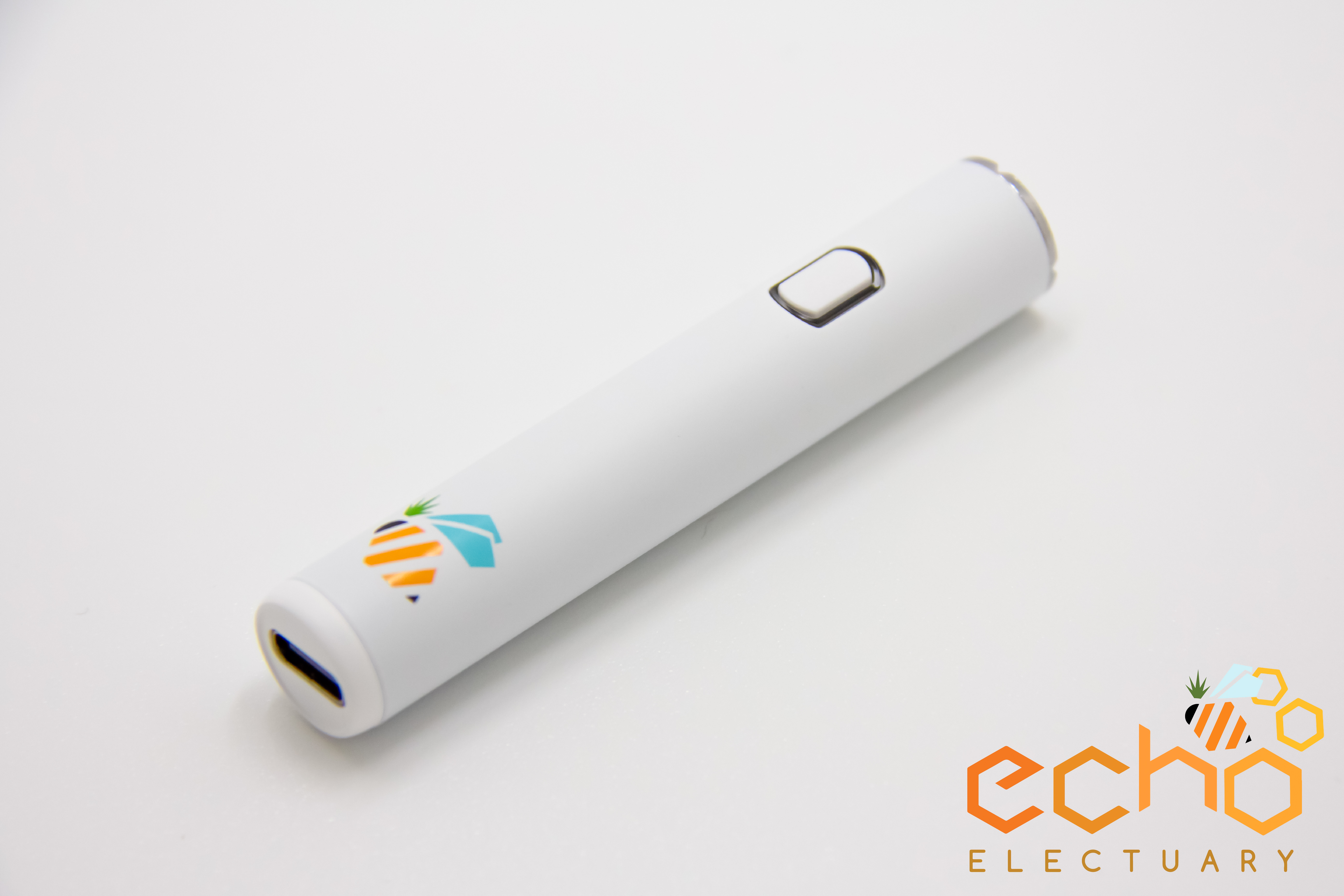 Photograph of product: Echo Electuary | Echo Bee XL 510 Battery