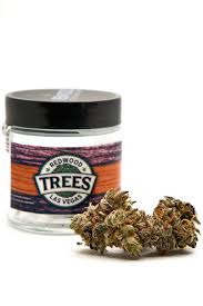 Photograph of product: Redwood Trees - Platinum Blue Dream - Indoor - 3.5g