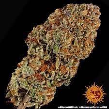 Photograph of product: Good Giggles | Biscotti Mintz (I-D) - 28g