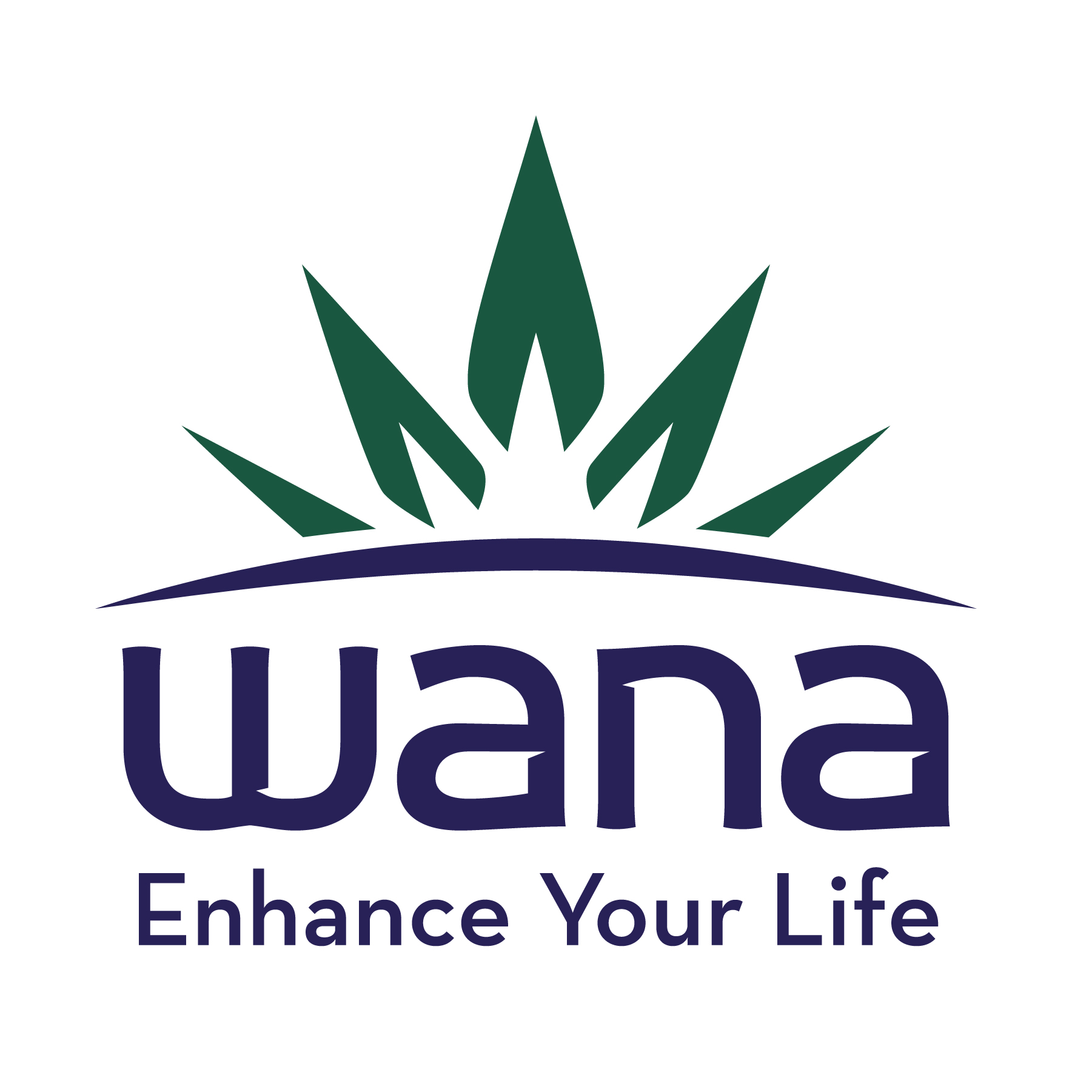 Photograph of product: Stash House - Wana Quick: Peach Bellini Sativa - Gummies 100mg - 10pk