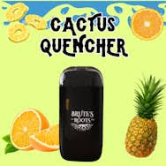Photograph of product: Cactus Quencher 1g Disposable-H