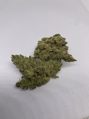 Photograph of product: GG #4- Resin Ranchers (H) - 28g