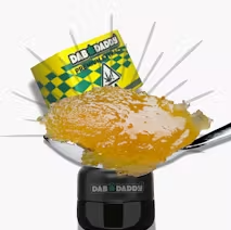 Photograph of product: Dab Daddy - Concentrate - Caviar - Kush Mintz - 1G