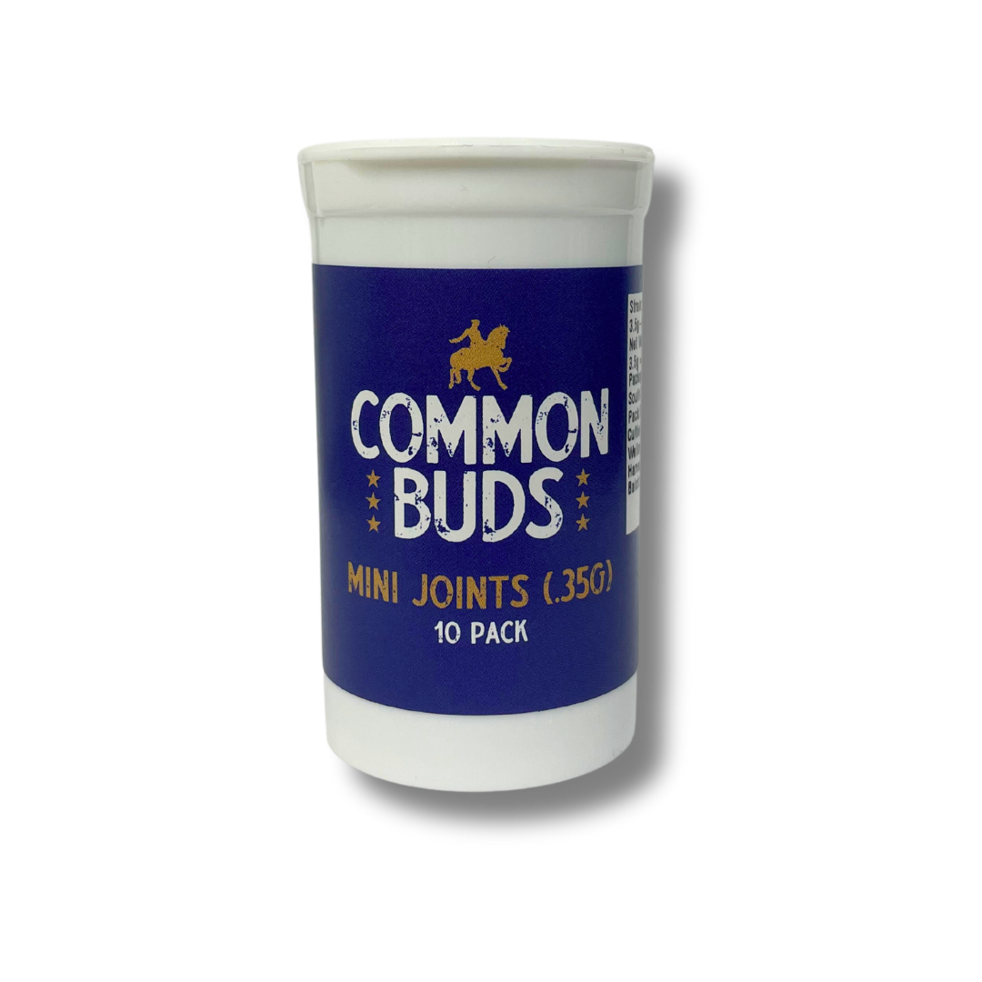 Photograph of product: Pre-Roll | 10pk | Wingsuit