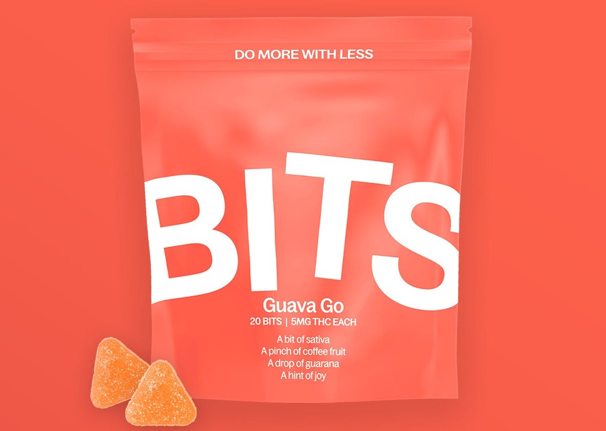 Photograph of product: Guava Go Bits 20-pack - 