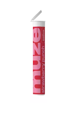 Photograph of product: Sweet Watermelon | Preroll 2pk | 1g