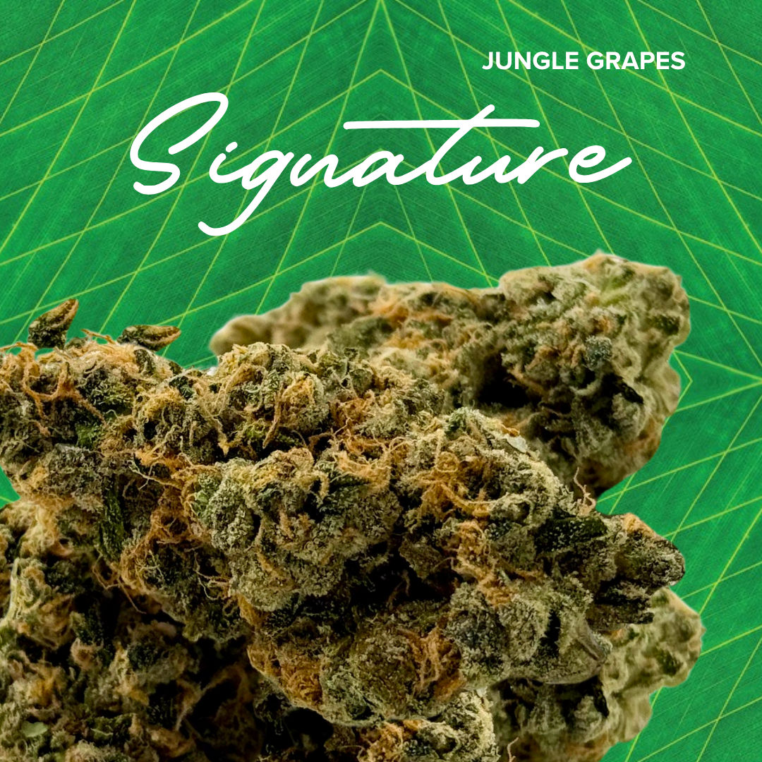 Photograph of product: Signature | Jungle Grapes | 3.5g