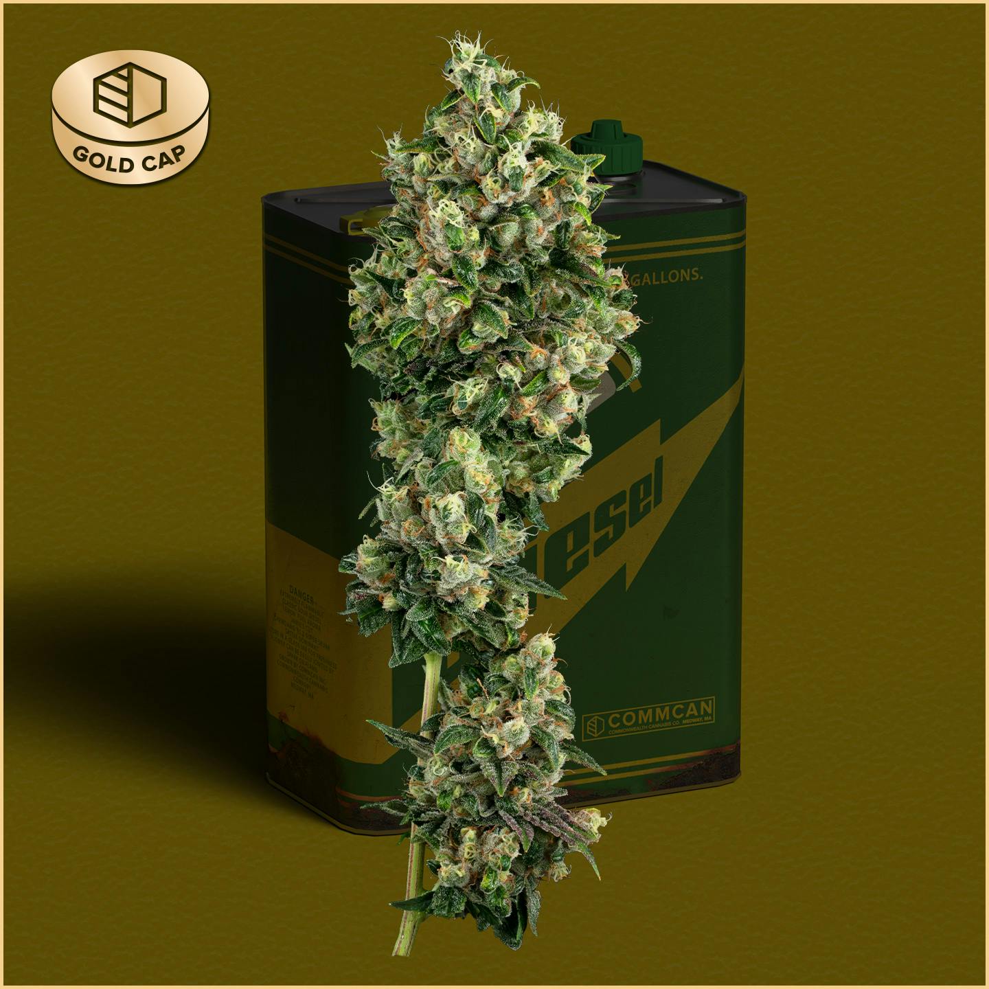 Photograph of product: Sour Diesel