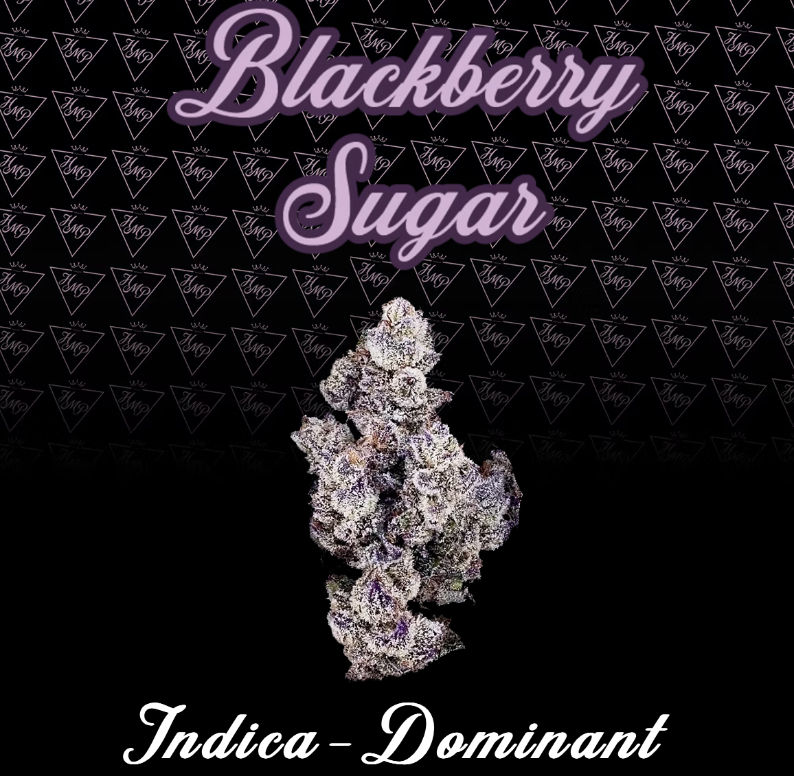 Photograph of product: Blackberry Sugar | Flower | 3.5g