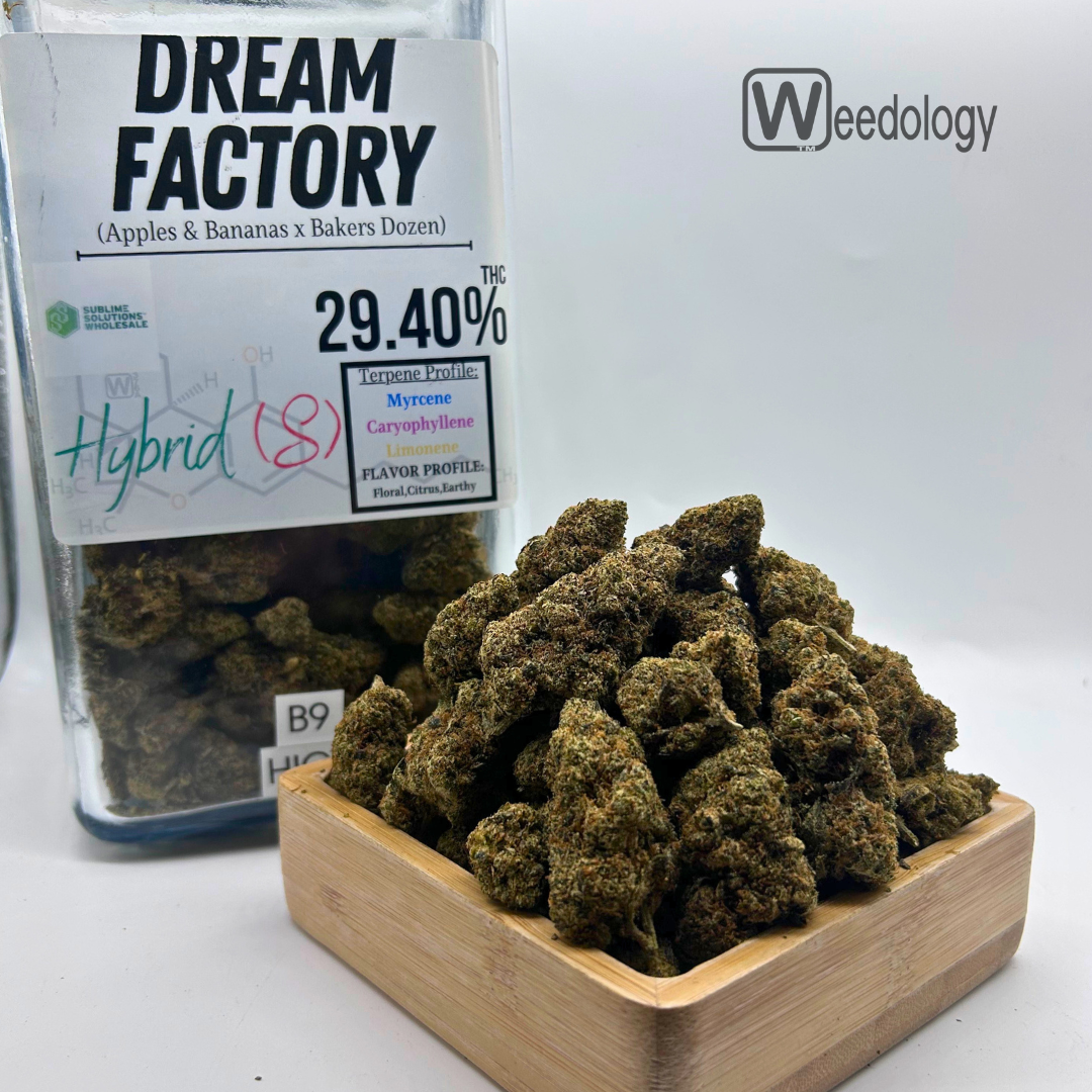 Photograph of product: Dream Factory (S-H) - 28g