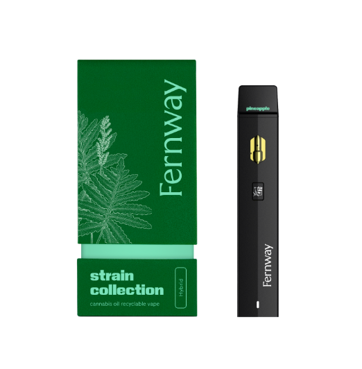 Photograph of product: Disposable | Pineapple Express (H) Fernway