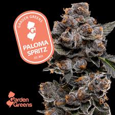 Photograph of product: Garden Greens - Paloma Spritz Big Bud 3.5g