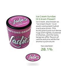 Photograph of product: Ice Cream Sundae - 3.5G